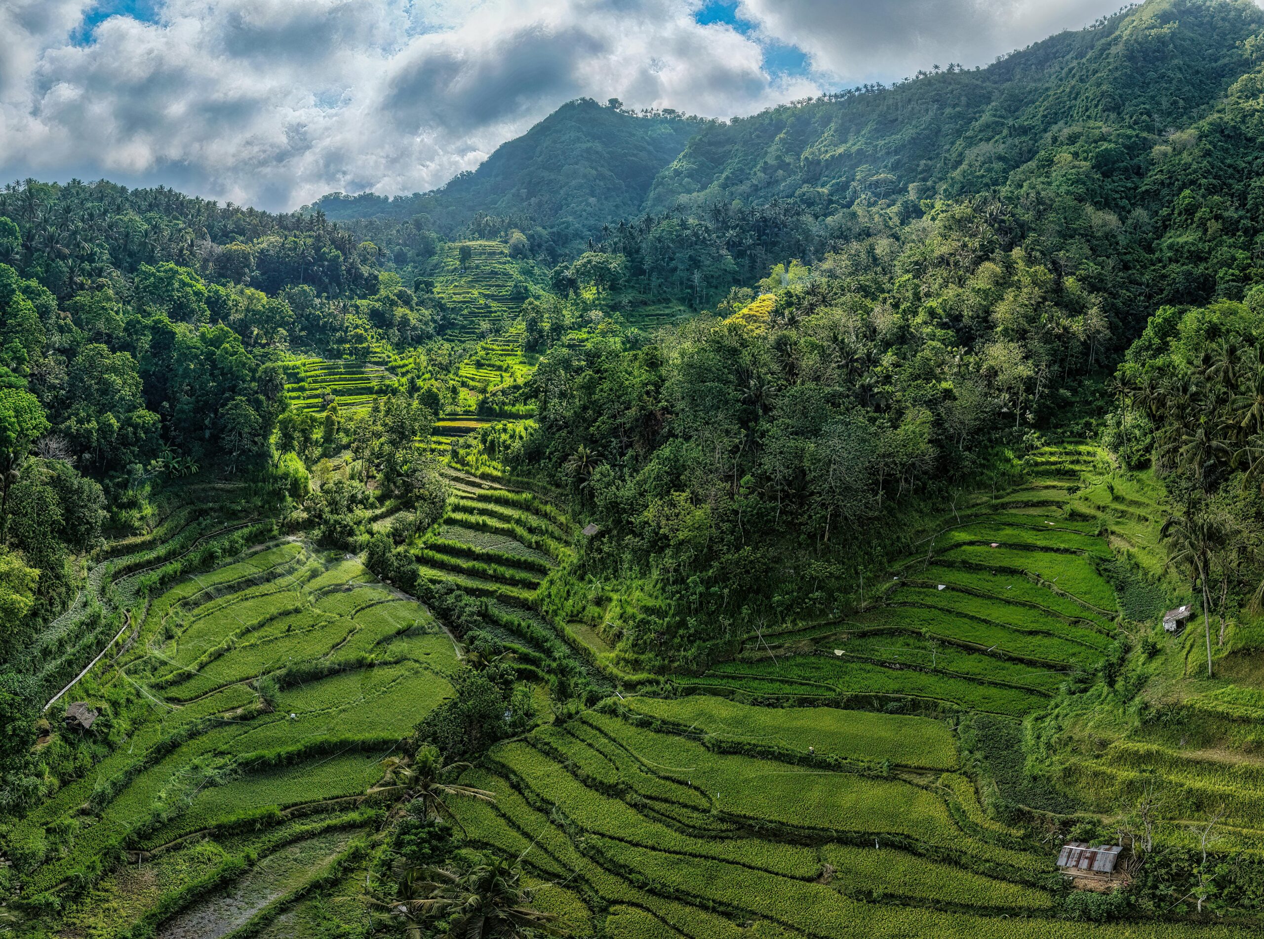 Aerial view of lush green rice terraces amidst mountains in Bali, Indonesia.